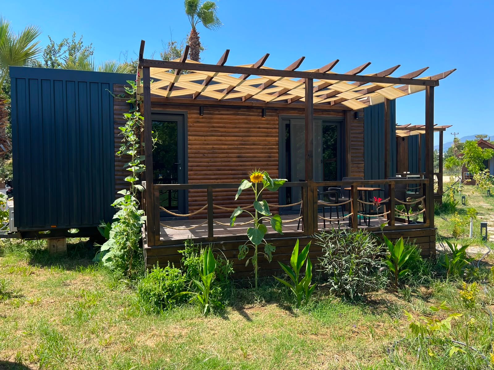 Tiny House No: 1008