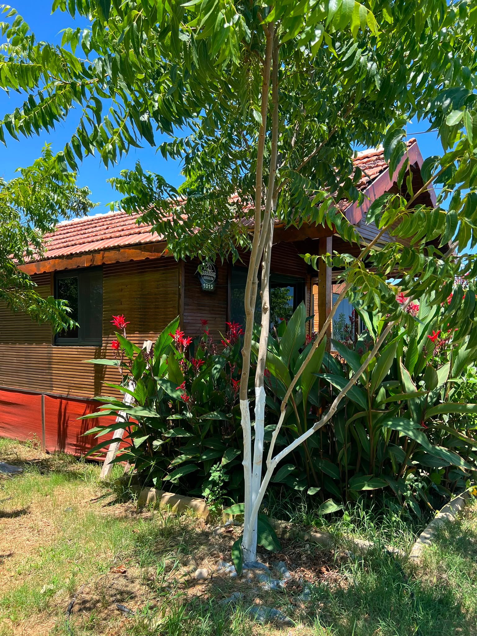 Bungalov No: 1015